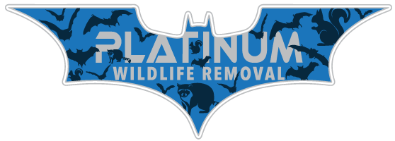 Cascade Animal Removal